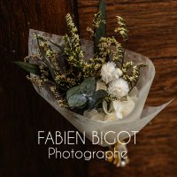 Logo de Fabien Bigot Photographe